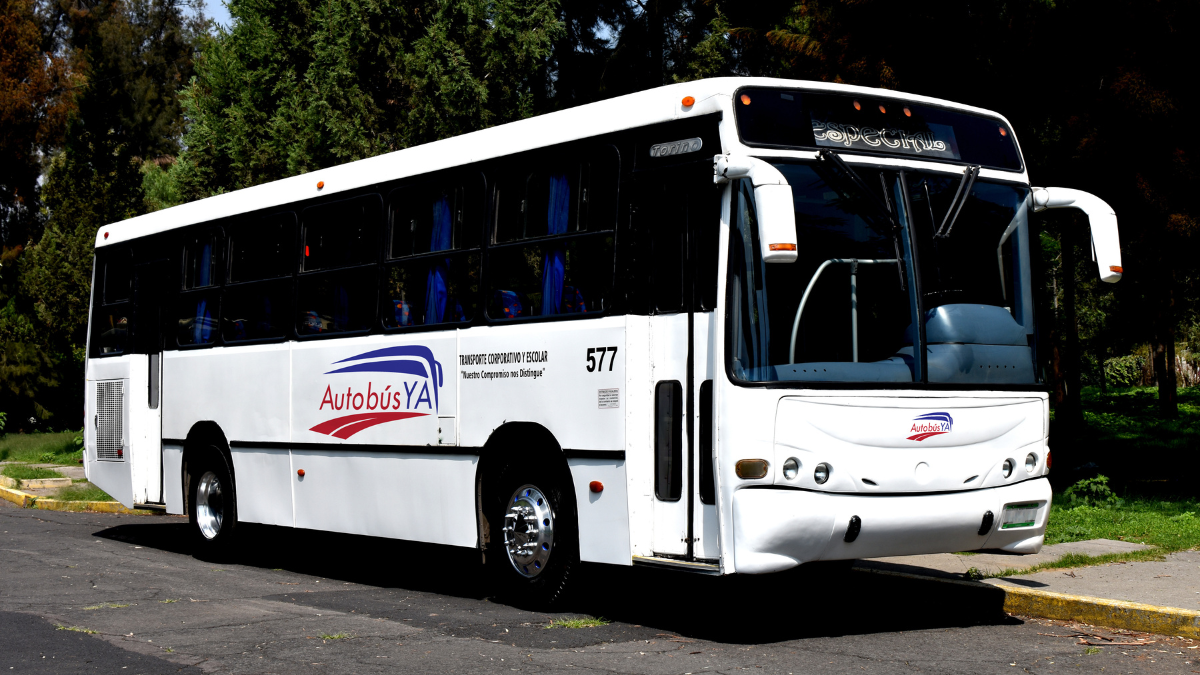 Autobuses en renta